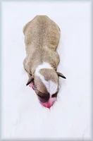 processed/0898d5a9-441f-4e3e-89f5-80d4ab8ecbd7/listing/1fe7fdae-612f-4493-a549-2e958dd8c849/61b5b95a-dfaa-4b0d-866f-ae305e77aac7