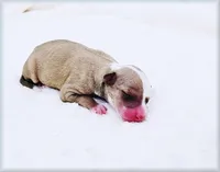 processed/0898d5a9-441f-4e3e-89f5-80d4ab8ecbd7/listing/1fe7fdae-612f-4493-a549-2e958dd8c849/b2d6da3b-b242-46e4-8ff4-f1b00dc3d6fd