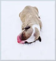 processed/0898d5a9-441f-4e3e-89f5-80d4ab8ecbd7/listing/1fe7fdae-612f-4493-a549-2e958dd8c849/ba447f9b-5afb-4707-9181-1bd878e728eb