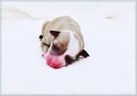 processed/0898d5a9-441f-4e3e-89f5-80d4ab8ecbd7/listing/1fe7fdae-612f-4493-a549-2e958dd8c849/d5de9c68-7395-4f33-a92f-2620ec2566be