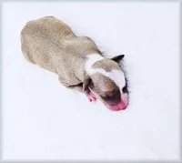 processed/0898d5a9-441f-4e3e-89f5-80d4ab8ecbd7/listing/1fe7fdae-612f-4493-a549-2e958dd8c849/ec6c7cc5-0588-4ec8-bd5f-cea3d52bc4b8