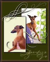 processed/0898d5a9-441f-4e3e-89f5-80d4ab8ecbd7/listing/38292f94-c627-4665-8afe-b83f780e6020/57b4852a-0df1-4a9b-b7f7-febb82dcd94f