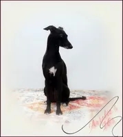 processed/0898d5a9-441f-4e3e-89f5-80d4ab8ecbd7/listing/38292f94-c627-4665-8afe-b83f780e6020/8fd2d7c6-1489-4a99-bcb4-41038018c540