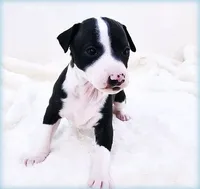 processed/0898d5a9-441f-4e3e-89f5-80d4ab8ecbd7/listing/38292f94-c627-4665-8afe-b83f780e6020/e14114b3-d160-40da-bc7e-196fbc00f1b8