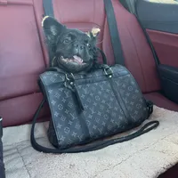 Pinky smalls, a male French Bulldog for sale in Prescott, AZ – Photo 3 of 3