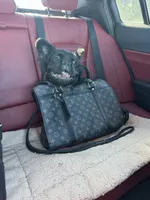 Pinky smalls, a male French Bulldog for sale in Prescott, AZ – Photo 3 of 3