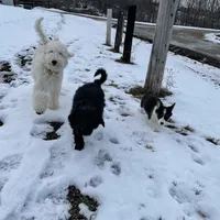 processed/08a1c835-fbc9-437d-a6da-cd933df971f4/facility/0959f3cc-b587-4ea9-b92d-26bcc34d8ed6