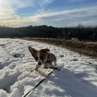 processed/08a1c835-fbc9-437d-a6da-cd933df971f4/facility/516b07a0-2f41-4eb8-94ab-d52d69ea83cb