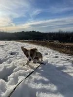 processed/08a1c835-fbc9-437d-a6da-cd933df971f4/facility/516b07a0-2f41-4eb8-94ab-d52d69ea83cb