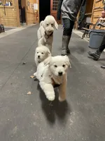 processed/08a1c835-fbc9-437d-a6da-cd933df971f4/facility/5a2d83ca-8356-4167-b605-5dbae18f011a