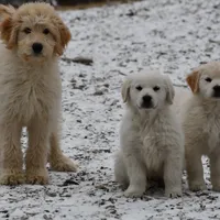 processed/08a1c835-fbc9-437d-a6da-cd933df971f4/facility/78b24e49-4aa9-4c01-b0aa-1ab45120d9f8