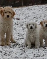 processed/08a1c835-fbc9-437d-a6da-cd933df971f4/facility/78b24e49-4aa9-4c01-b0aa-1ab45120d9f8