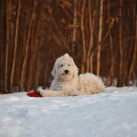 processed/08a1c835-fbc9-437d-a6da-cd933df971f4/facility/81b130c2-3fe8-4145-9c85-9d0a3e1599f4