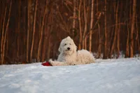 processed/08a1c835-fbc9-437d-a6da-cd933df971f4/facility/81b130c2-3fe8-4145-9c85-9d0a3e1599f4