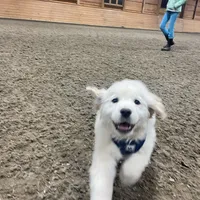 processed/08a1c835-fbc9-437d-a6da-cd933df971f4/facility/d63b2247-bbd1-4e3e-bf65-26cf369eee0b