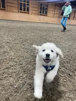 processed/08a1c835-fbc9-437d-a6da-cd933df971f4/facility/d63b2247-bbd1-4e3e-bf65-26cf369eee0b