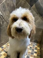 processed/08a1c835-fbc9-437d-a6da-cd933df971f4/listing/7bc5682b-3407-41ba-b700-0b6095d2a496/4729028e-b667-43ce-80e5-2289ee914f81