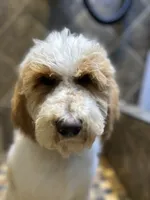 processed/08a1c835-fbc9-437d-a6da-cd933df971f4/listing/7bc5682b-3407-41ba-b700-0b6095d2a496/e50f3779-e957-4517-a038-8dcfc87185d7