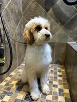 processed/08a1c835-fbc9-437d-a6da-cd933df971f4/listing/7bc5682b-3407-41ba-b700-0b6095d2a496/e7824272-4f71-422a-a63f-2ffc15fdeaf4