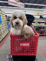 processed/08a1c835-fbc9-437d-a6da-cd933df971f4/listing/7bc5682b-3407-41ba-b700-0b6095d2a496/f12f5565-de77-4313-a1f9-8b6ae43168df