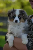 processed/08a1c835-fbc9-437d-a6da-cd933df971f4/listing/b2824470-c185-4fd2-9c20-da7d5947420f/0921175e-1e84-4ae2-90a4-bd06ff417170