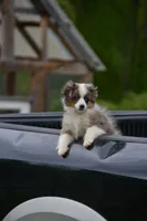 processed/08a1c835-fbc9-437d-a6da-cd933df971f4/listing/b2824470-c185-4fd2-9c20-da7d5947420f/7c33575f-a437-4c11-902a-e3ff1e0df1e8