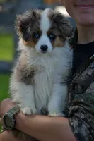 processed/08a1c835-fbc9-437d-a6da-cd933df971f4/listing/b2824470-c185-4fd2-9c20-da7d5947420f/8afc20ae-0278-4bae-9a9f-999b7e5300f3