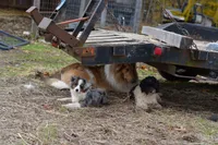 processed/08a1c835-fbc9-437d-a6da-cd933df971f4/listing/b2824470-c185-4fd2-9c20-da7d5947420f/a34fedf8-3141-4009-a7de-3c52e1f9e94a