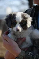 processed/08a1c835-fbc9-437d-a6da-cd933df971f4/listing/b2824470-c185-4fd2-9c20-da7d5947420f/e0e453a9-8754-4a97-837a-d68badffc891