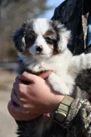 processed/08a1c835-fbc9-437d-a6da-cd933df971f4/listing/b2824470-c185-4fd2-9c20-da7d5947420f/ef886199-920e-417c-9536-afb6b81c7f31