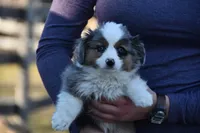 processed/08a1c835-fbc9-437d-a6da-cd933df971f4/listing/b2824470-c185-4fd2-9c20-da7d5947420f/fab4a155-1027-4d8c-9516-e4e1b3a8f429