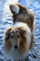 processed/08a1c835-fbc9-437d-a6da-cd933df971f4/listing/ba601fff-9dbc-495a-b71c-33eaf3f99655/32632607-7348-4739-860f-133e63552d91