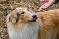 processed/08a1c835-fbc9-437d-a6da-cd933df971f4/listing/ba601fff-9dbc-495a-b71c-33eaf3f99655/3d1ce46b-cbdc-419f-9459-35407f72ae37