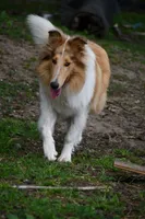 processed/08a1c835-fbc9-437d-a6da-cd933df971f4/listing/ba601fff-9dbc-495a-b71c-33eaf3f99655/94252a89-c37a-47a0-8d4b-d7030526d93d