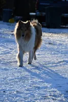 processed/08a1c835-fbc9-437d-a6da-cd933df971f4/listing/ba601fff-9dbc-495a-b71c-33eaf3f99655/db45b28b-42d7-4edf-b958-591409865cc9