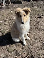 processed/08a1c835-fbc9-437d-a6da-cd933df971f4/listing/ba601fff-9dbc-495a-b71c-33eaf3f99655/e772f037-3d4c-4be7-996e-534a1a565f5f