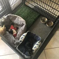 processed/08b09b40-132f-457c-bb4e-88d85b873422/facility/12b2a7b5-16e3-4eb3-aecd-a3f679b53fb1