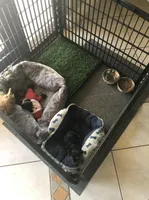 processed/08b09b40-132f-457c-bb4e-88d85b873422/facility/12b2a7b5-16e3-4eb3-aecd-a3f679b53fb1