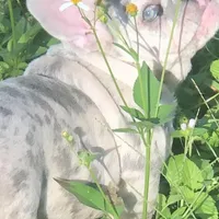 processed/08b09b40-132f-457c-bb4e-88d85b873422/facility/3be74e7f-7b3a-48ac-b2a4-20d30a4126de