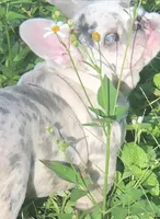 processed/08b09b40-132f-457c-bb4e-88d85b873422/facility/3be74e7f-7b3a-48ac-b2a4-20d30a4126de