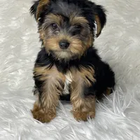 processed/08b09b40-132f-457c-bb4e-88d85b873422/facility/47be1059-2d03-457a-baa0-99f5dadaba9c