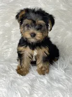 processed/08b09b40-132f-457c-bb4e-88d85b873422/facility/47be1059-2d03-457a-baa0-99f5dadaba9c