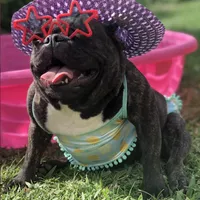 processed/08b09b40-132f-457c-bb4e-88d85b873422/facility/5d45c98c-0c37-48cc-95b0-de8753438fbb