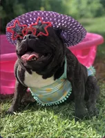 processed/08b09b40-132f-457c-bb4e-88d85b873422/facility/5d45c98c-0c37-48cc-95b0-de8753438fbb