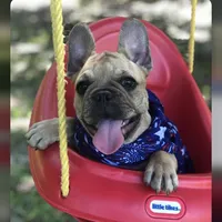 processed/08b09b40-132f-457c-bb4e-88d85b873422/facility/ca07cd33-6c9e-49b6-98d4-b9c13f269bd0