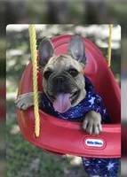 processed/08b09b40-132f-457c-bb4e-88d85b873422/facility/ca07cd33-6c9e-49b6-98d4-b9c13f269bd0