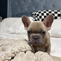 processed/08baa3ed-d539-4650-b0e6-9842f20b47e2/listing/dfcfda8d-c36e-4e01-b7b7-ebe8c8ee6cdf/358595ff-59d7-407f-8467-c7729465640b