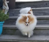 processed/08e086b2-e20d-446b-94c7-606a4f799b8d/facility/0c5967ec-115b-4380-9eb5-17ba80d40f9c