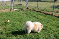 processed/08e086b2-e20d-446b-94c7-606a4f799b8d/facility/5a9bad3e-e01a-4b11-97f8-3fe6124721d4