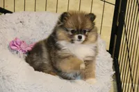 processed/08e086b2-e20d-446b-94c7-606a4f799b8d/facility/6faa278a-ab69-48e5-96c5-914b6558bc1a